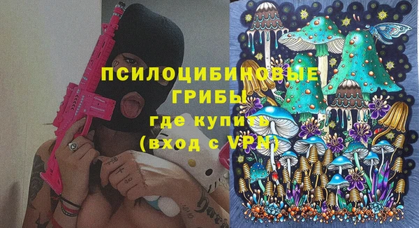 дмт Верея