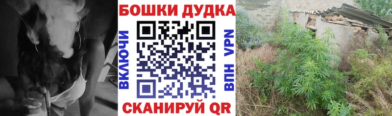 Марихуана SATIVA & INDICA Волхов
